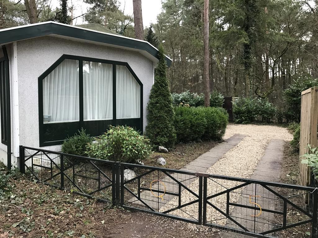 Chalet Dennenvelt Villa Doornspijk Exterior foto